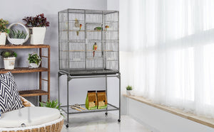Large Parakeet Cages Buying Guide for Beginners in 2021