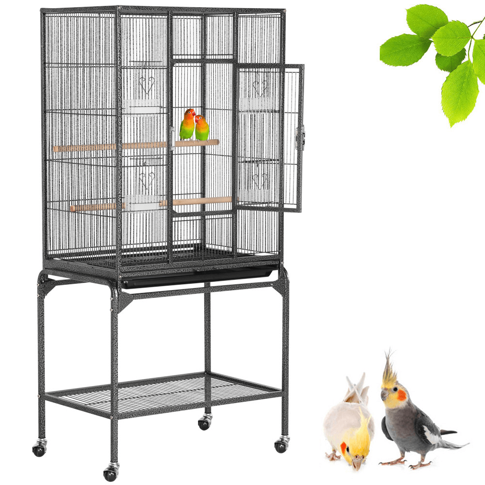 Parrot and online cage for sale