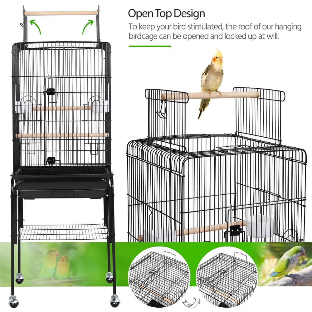 Enclosed shops bird cage